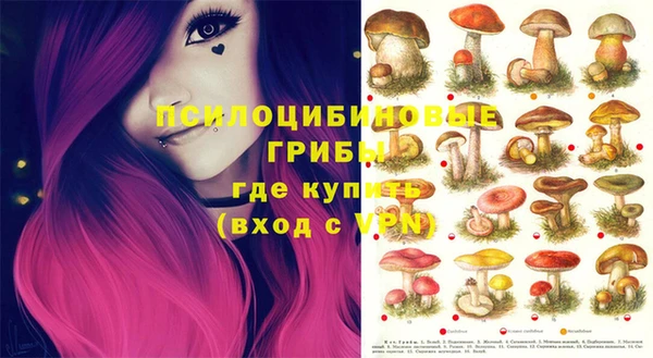 соль курить ск Белокуриха
