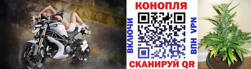 закладка  Вязьма  Канабис AK-47 